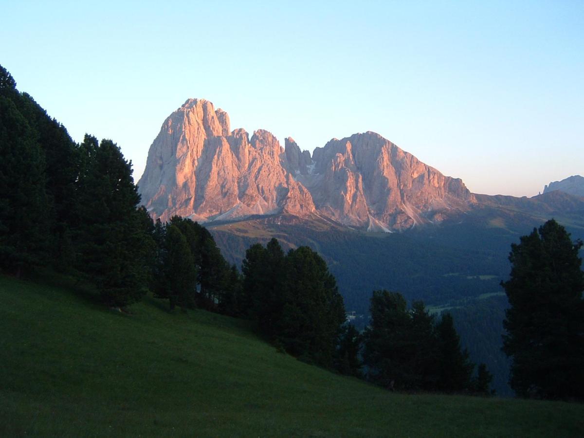Appartamento Dolomiti Sëlva di Val Gardena Eksteriør billede