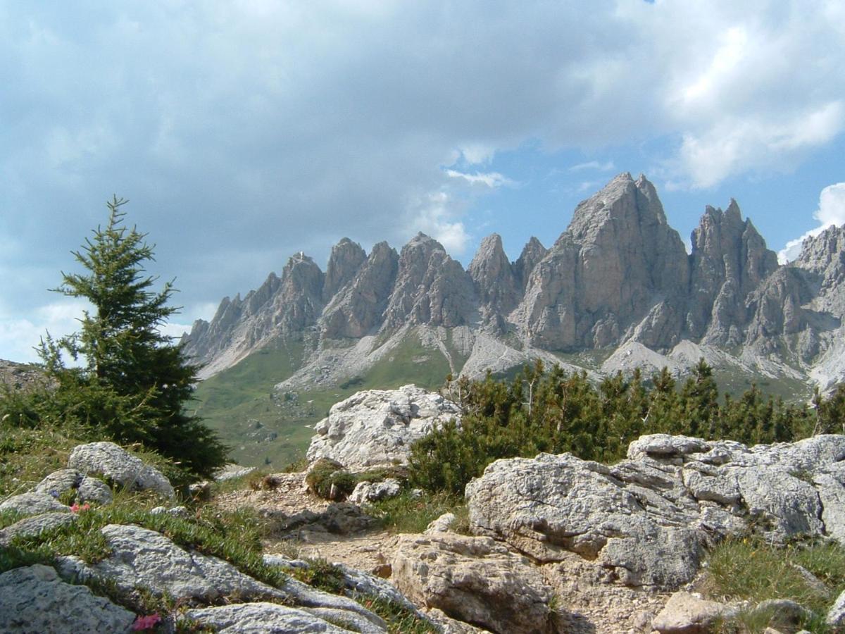 Appartamento Dolomiti Sëlva di Val Gardena Eksteriør billede